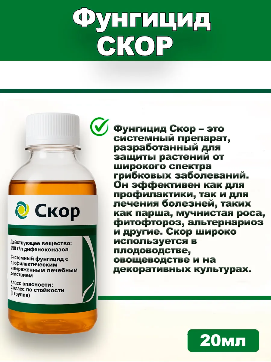 Скор