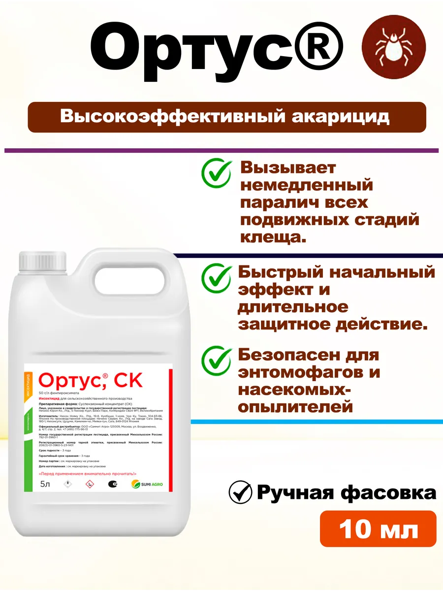 Ортус